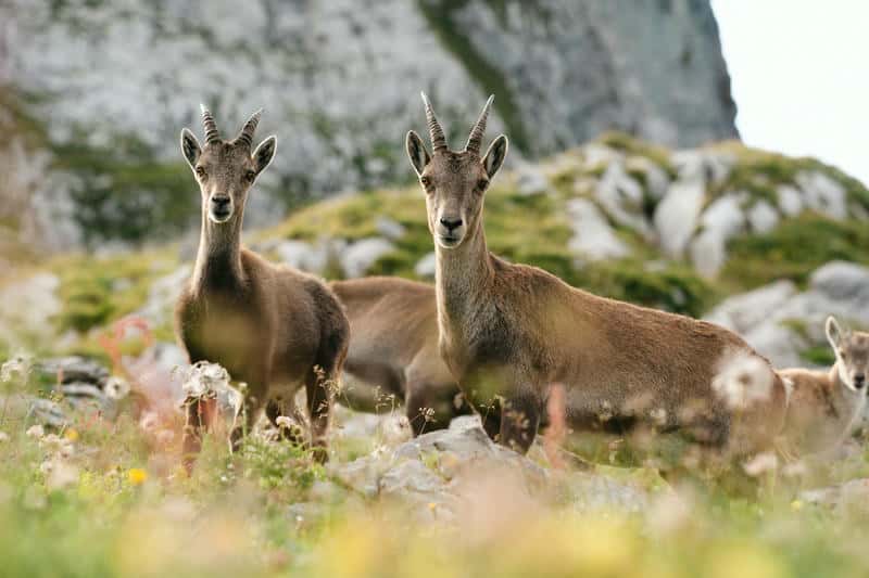 Respecter la nature pendant un voyage aventure