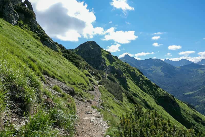 Chemin de trail en haute montagne